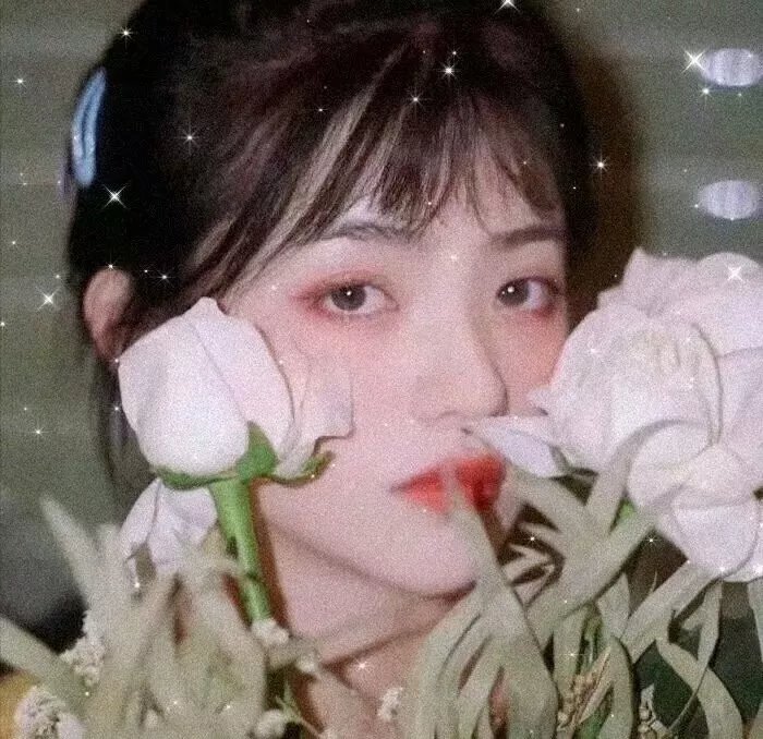 保佑野兽和孩子们